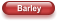 Barley