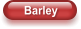 Barley