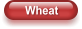 Wheat