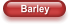 Barley