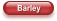 Barley