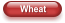 Wheat