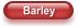 Barley