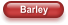 Barley