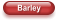 Barley