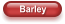Barley