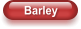 Barley