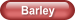 Barley