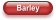 Barley