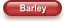 Barley