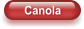 Canola