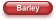 Barley