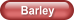 Barley