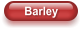 Barley