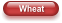 Wheat