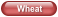 Wheat