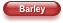 Barley