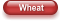 Wheat