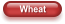 Wheat