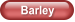 Barley