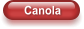 Canola