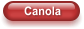 Canola
