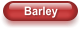 Barley