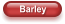 Barley
